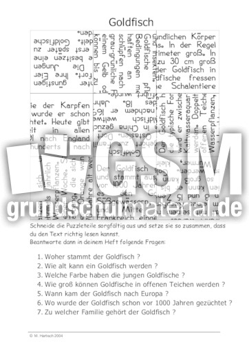 Goldfisch.pdf